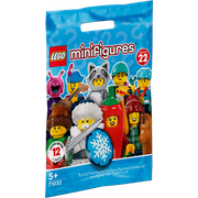 Series 22 - Random Bag