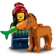 Horse and Groom