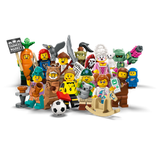 Series 24 - Complete - All Sets (set 71037-13)
