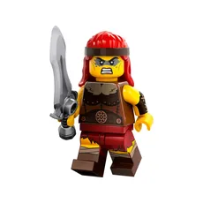 Fierce Barbarian (set 71045-11)