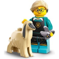 Pet Groomer (set 71045-12)