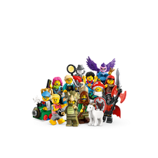 Series 25 - Complete - All Sets (set 71045-13)