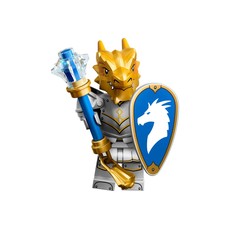 Dragonborn Paladin (set 71047-4)