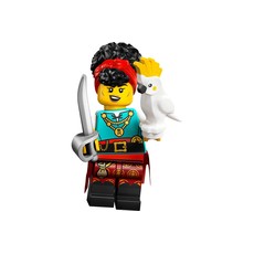 Pirate Quartermaster (set 71048-10)