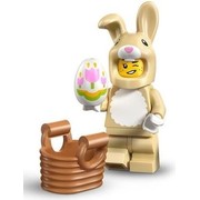 Rabbit Suit