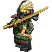 Mysterious Ronin