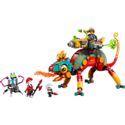 Mateo's Fire Chameleon