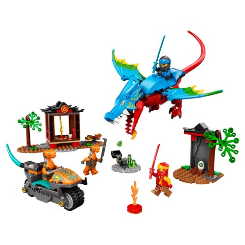 Ninja Dragon Temple