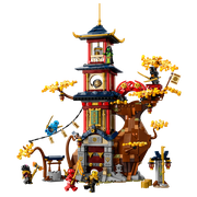 Temple of the Dragon Energy Cores