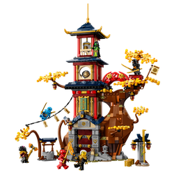 Temple of the Dragon Energy Cores, zdjęcie 1