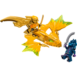 Arin's Rising Dragon Strike, zdjęcie 1