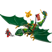 Lloyd's Green Forest Dragon