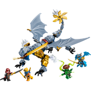 Ninja Dragon Riyu's Battle
