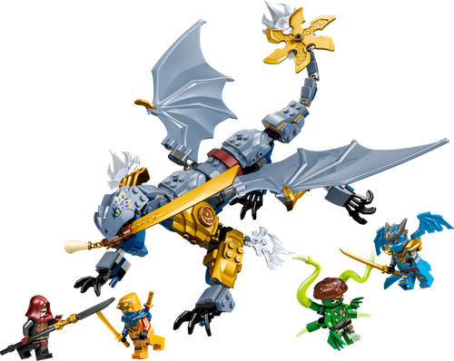 Ninja Dragon Riyu's Battle