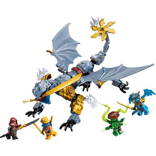 Ninja Dragon Riyu's Battle