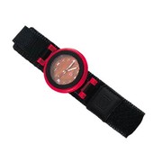 Biodium Watch