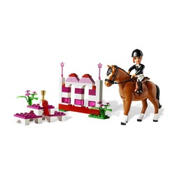 Horse Jumping