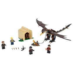 Hungarian Horntail Triwizard Challenge, zdjęcie 1