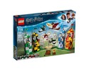 Quidditch Match : Set 75956-1 | BrickLink