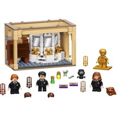 Hogwarts: Polyjuice Potion Mistake (set 76386-1)