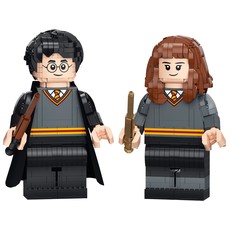 Harry Potter & Hermione Granger (set 76393-1)