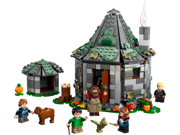 La cabane de Hagrid : une visite inattendue 76428