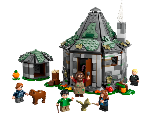 Hagrid's Hut: An Unexpected Visit