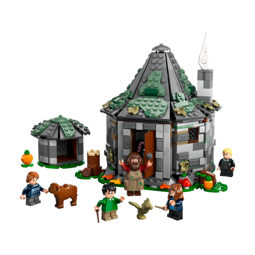 Hagrid's Hut: An Unexpected Visit