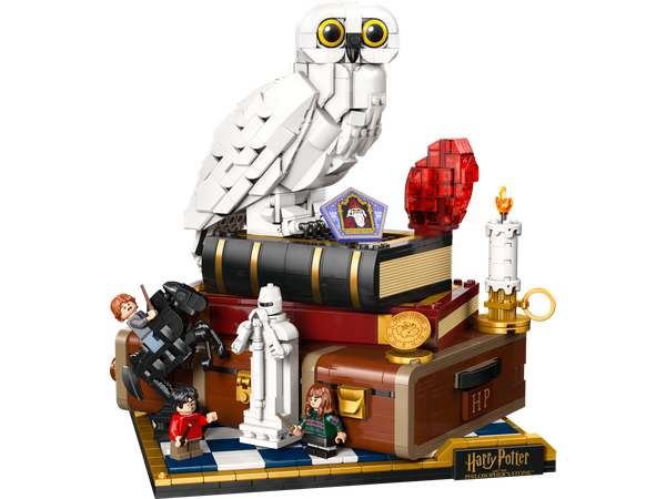 L’école des sorciers – Édition Collector 76466