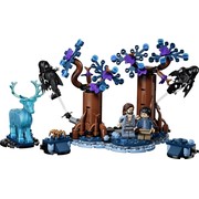 Forbidden Forest: Expecto Patronum