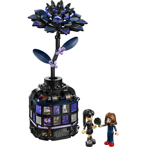 Black Dahlia Flower