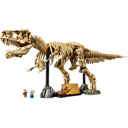 Szkielety dinozaurów: tyranozaur