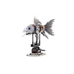 Koi, zdjęcie 1
