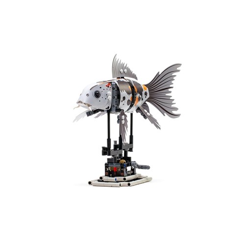 Koi