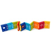 Foldable Ruler