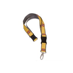 Lanyard