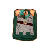 Dragon Armor