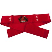 Ninjago Headband