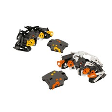 Manas (set 8539-1)