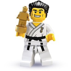 Karate Master (set 8684-14)