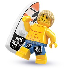 Surfer (set 8684-15)
