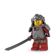 Samurai Warrior