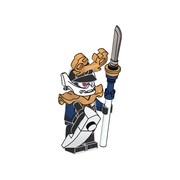 Samurai X