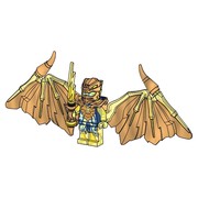 Golden Dragon Jay