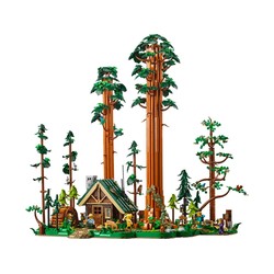 Sequoia Tree Trail, zdjęcie 1