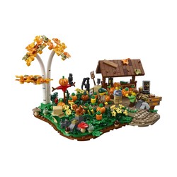 Pumpkin Patch