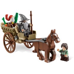 Gandalf Arrives, zdjęcie 1