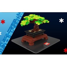 55cm Bonsai Tree Model (set BONSAI-1)