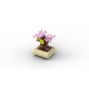 Lovely Bonsai Tree
