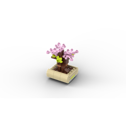 Lovely Bonsai Tree